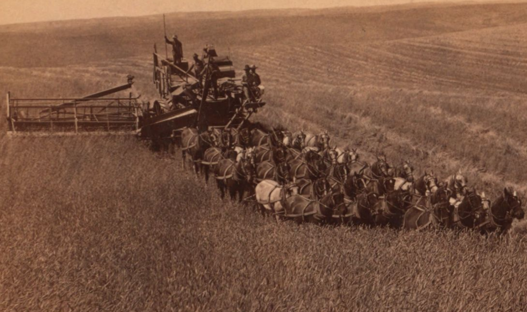 Investment Consulting | wdganntunnel.com