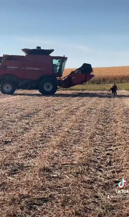 Investment Consulting | wdganntunnel.com