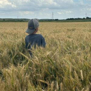 Investment Consulting | wdganntunnel.com