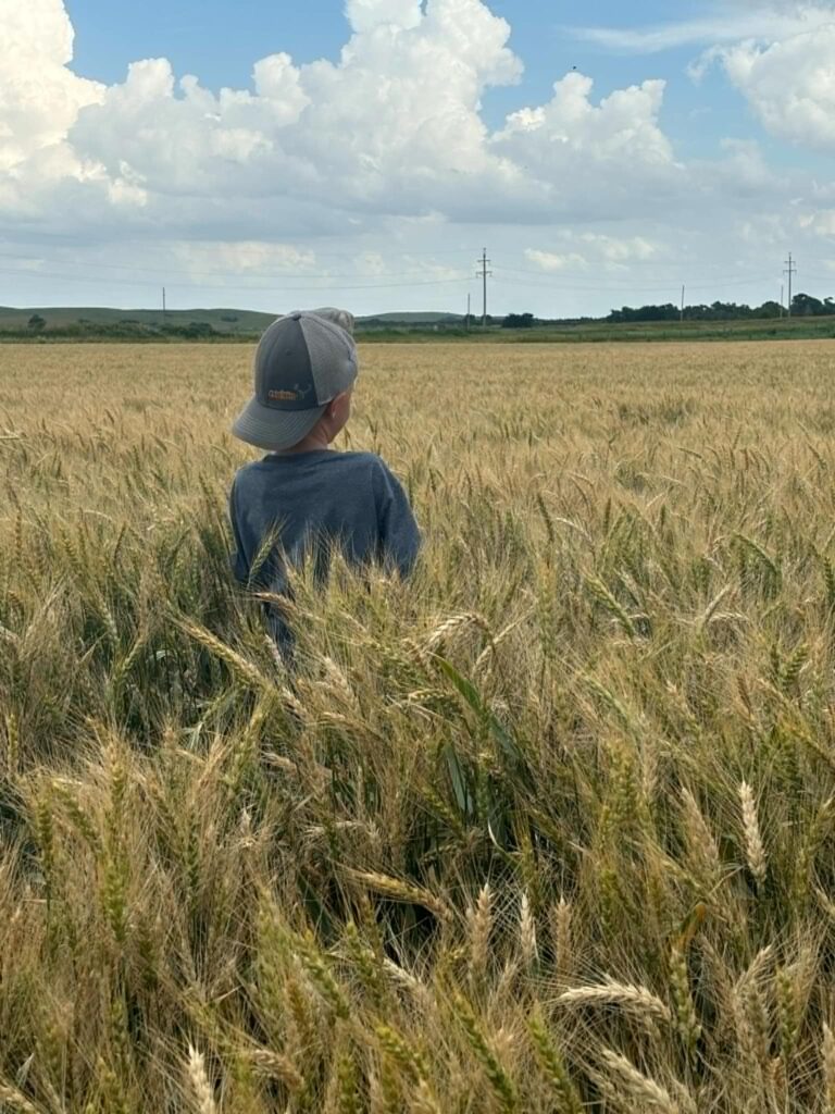 Investment Consulting | wdganntunnel.com