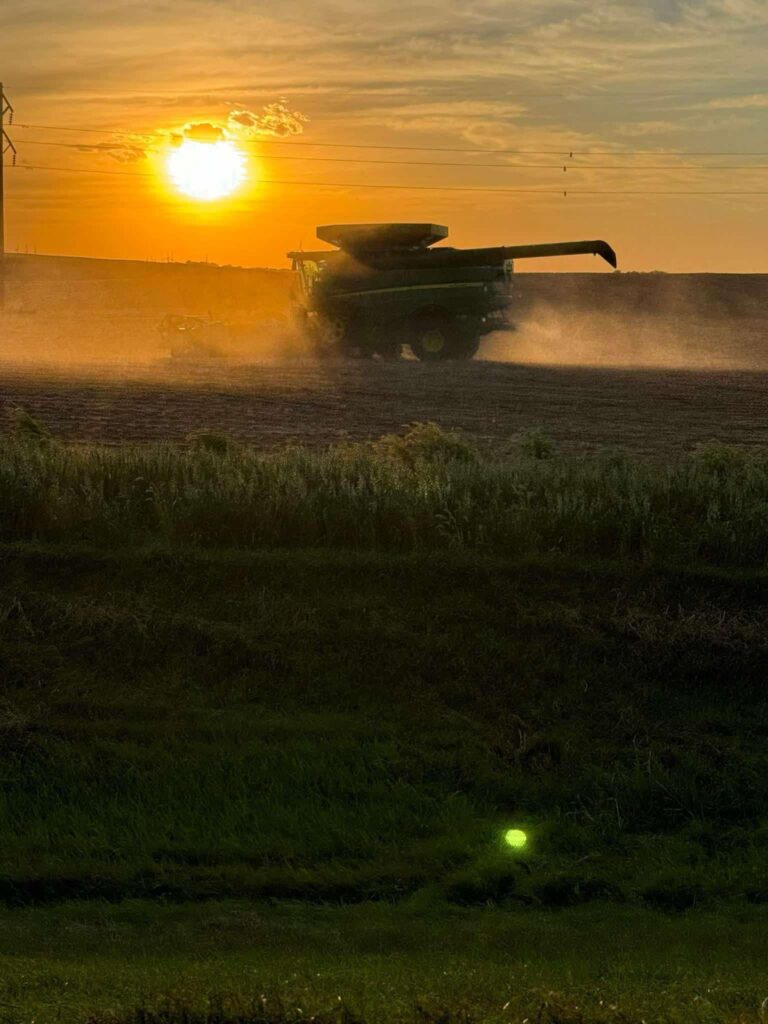 Investment Consulting | wdganntunnel.com