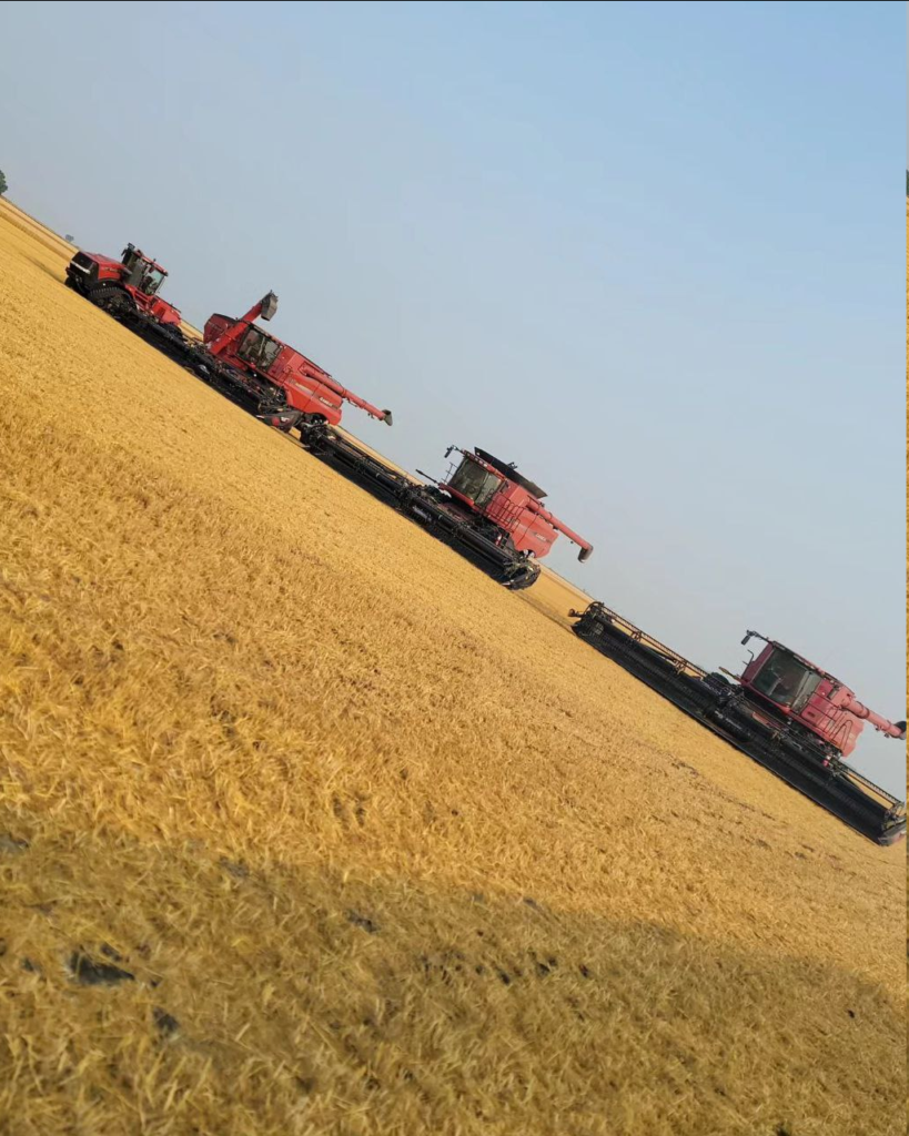 Investment Consulting | wdganntunnel.com