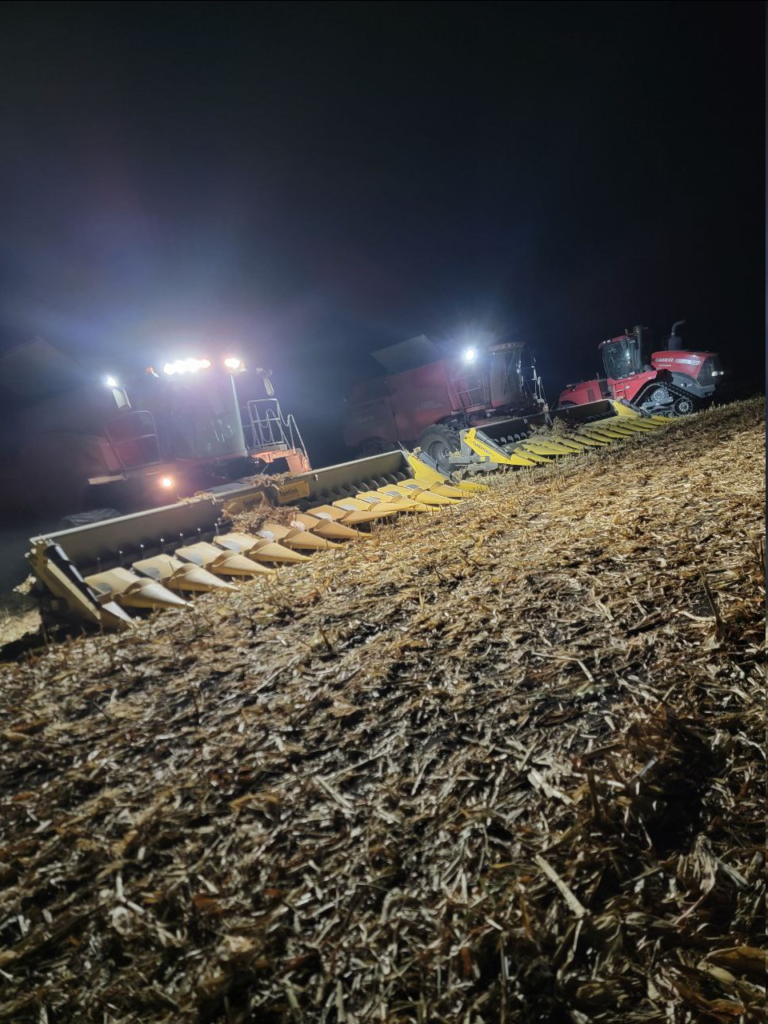 Investment Consulting | wdganntunnel.com